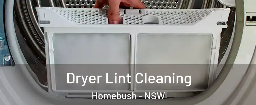 Dryer Lint Cleaning Homebush - NSW
