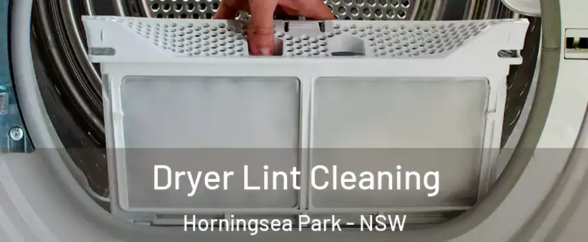 Dryer Lint Cleaning Horningsea Park - NSW