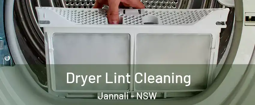 Dryer Lint Cleaning Jannali - NSW
