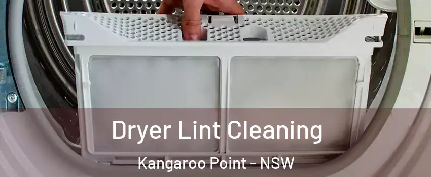 Dryer Lint Cleaning Kangaroo Point - NSW