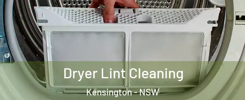 Dryer Lint Cleaning Kensington - NSW