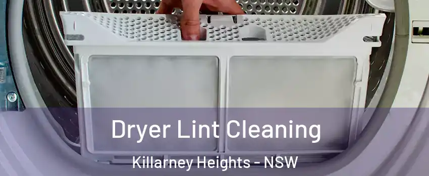 Dryer Lint Cleaning Killarney Heights - NSW