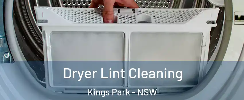 Dryer Lint Cleaning Kings Park - NSW