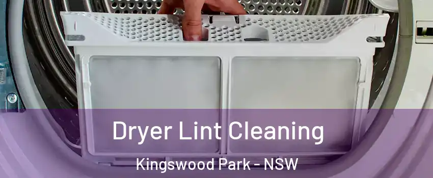 Dryer Lint Cleaning Kingswood Park - NSW