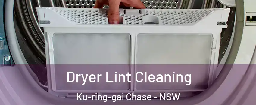 Dryer Lint Cleaning Ku-ring-gai Chase - NSW