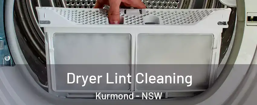Dryer Lint Cleaning Kurmond - NSW