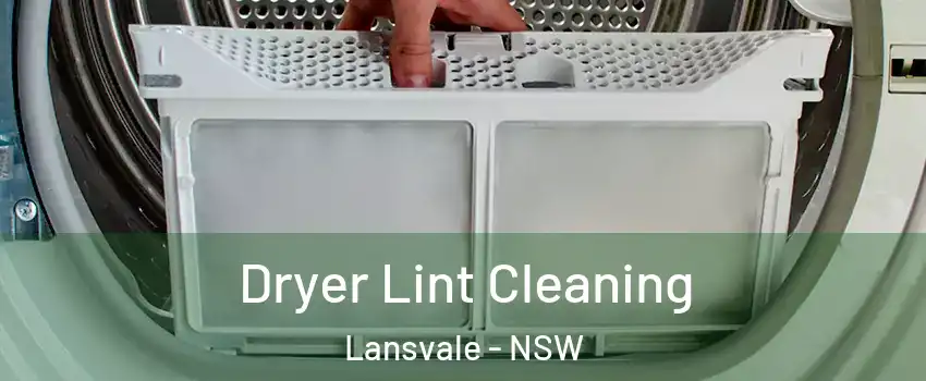 Dryer Lint Cleaning Lansvale - NSW
