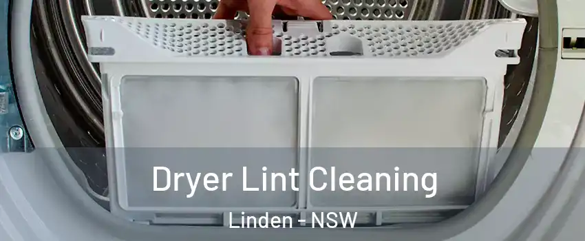 Dryer Lint Cleaning Linden - NSW