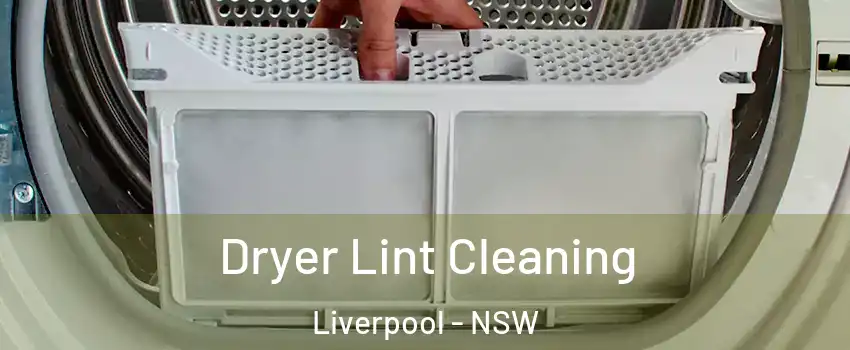 Dryer Lint Cleaning Liverpool - NSW