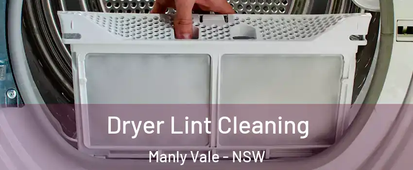 Dryer Lint Cleaning Manly Vale - NSW