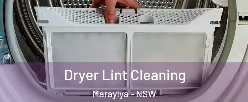 Dryer Lint Cleaning Maraylya - NSW