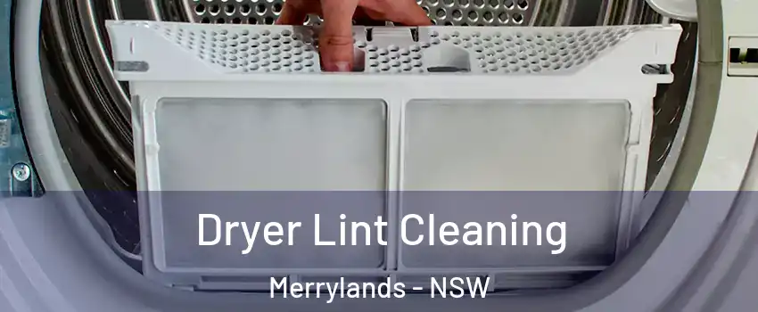 Dryer Lint Cleaning Merrylands - NSW