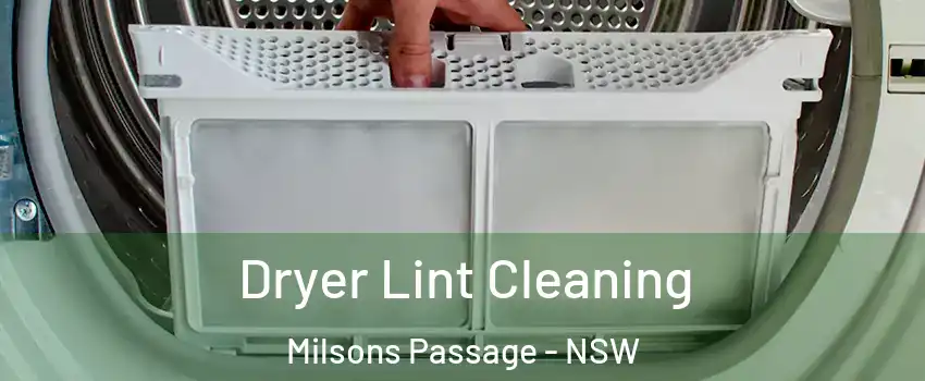 Dryer Lint Cleaning Milsons Passage - NSW