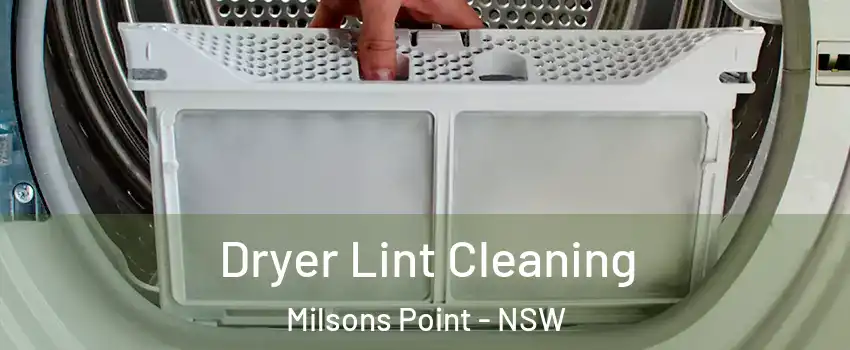 Dryer Lint Cleaning Milsons Point - NSW