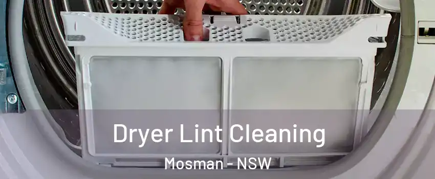 Dryer Lint Cleaning Mosman - NSW