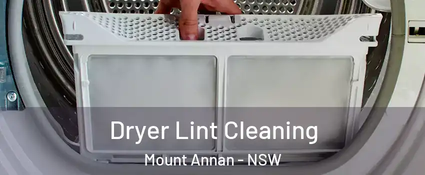Dryer Lint Cleaning Mount Annan - NSW