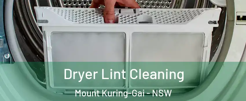 Dryer Lint Cleaning Mount Kuring-Gai - NSW