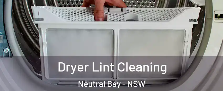 Dryer Lint Cleaning Neutral Bay - NSW