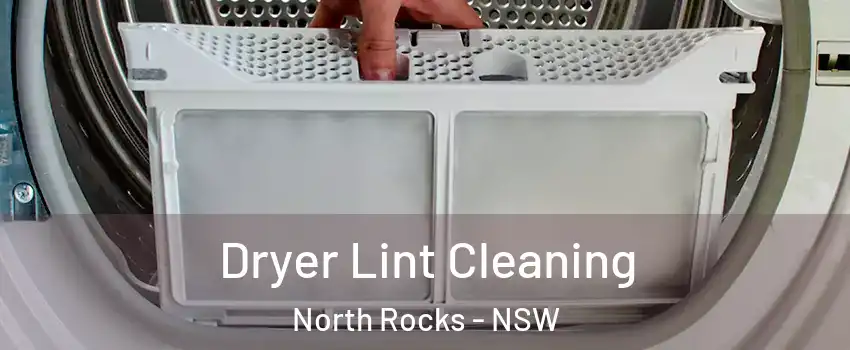 Dryer Lint Cleaning North Rocks - NSW