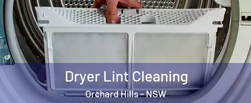 Dryer Lint Cleaning Orchard Hills - NSW