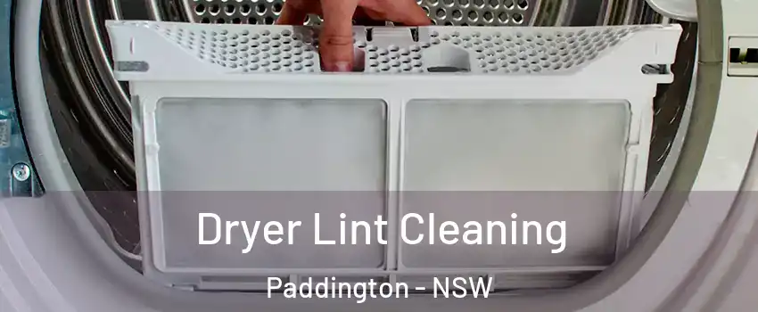 Dryer Lint Cleaning Paddington - NSW