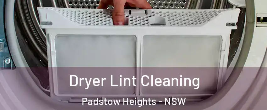 Dryer Lint Cleaning Padstow Heights - NSW