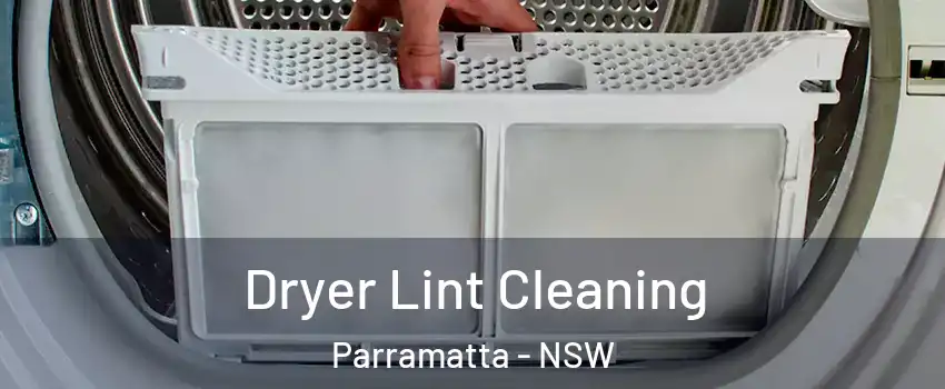 Dryer Lint Cleaning Parramatta - NSW