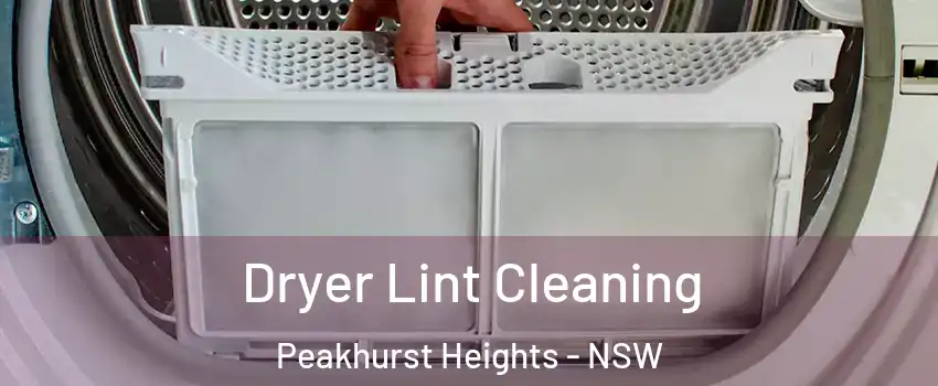 Dryer Lint Cleaning Peakhurst Heights - NSW
