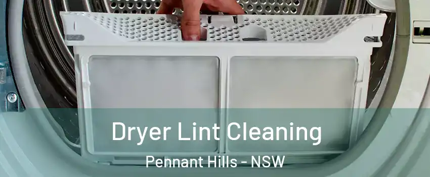 Dryer Lint Cleaning Pennant Hills - NSW