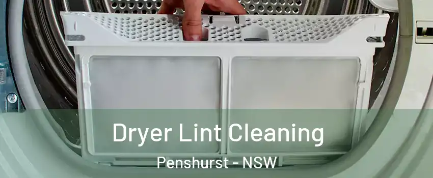 Dryer Lint Cleaning Penshurst - NSW