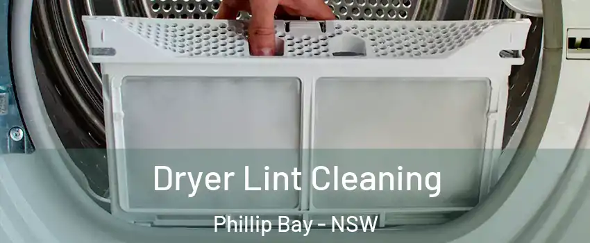 Dryer Lint Cleaning Phillip Bay - NSW