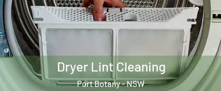 Dryer Lint Cleaning Port Botany - NSW