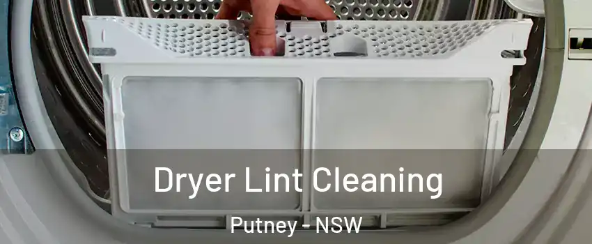 Dryer Lint Cleaning Putney - NSW