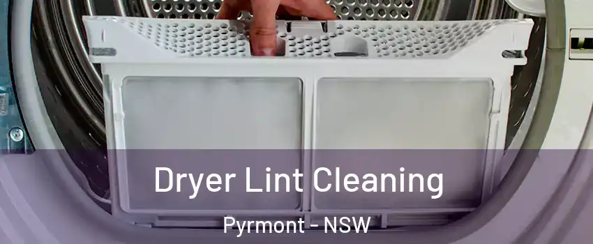 Dryer Lint Cleaning Pyrmont - NSW