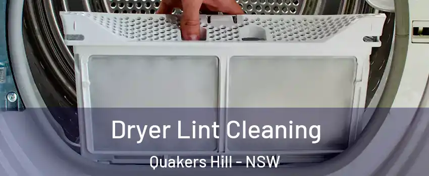 Dryer Lint Cleaning Quakers Hill - NSW