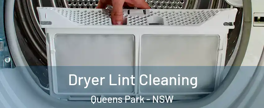 Dryer Lint Cleaning Queens Park - NSW