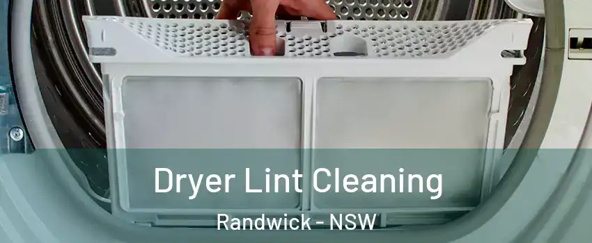 Dryer Lint Cleaning Randwick - NSW