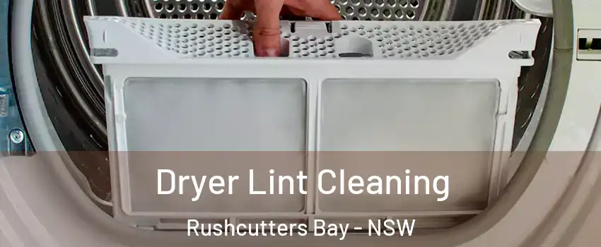 Dryer Lint Cleaning Rushcutters Bay - NSW