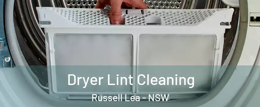 Dryer Lint Cleaning Russell Lea - NSW