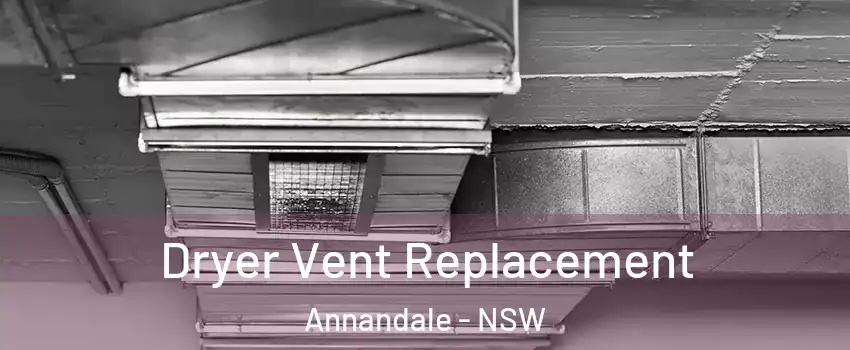 Dryer Vent Replacement Annandale - NSW