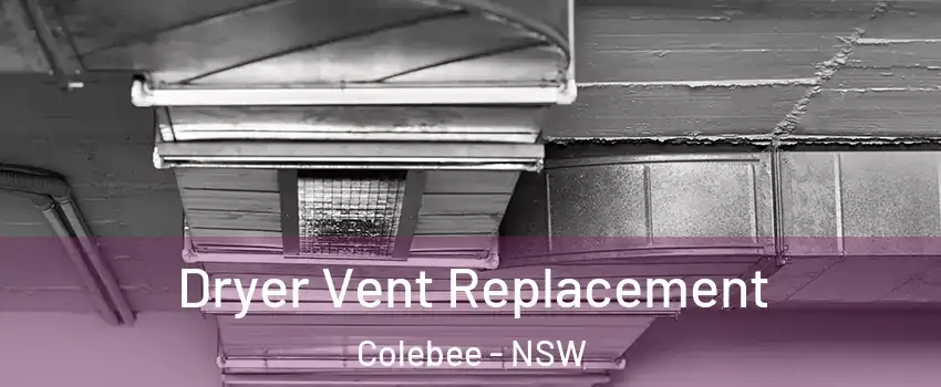 Dryer Vent Replacement Colebee - NSW