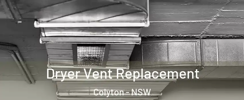 Dryer Vent Replacement Colyton - NSW