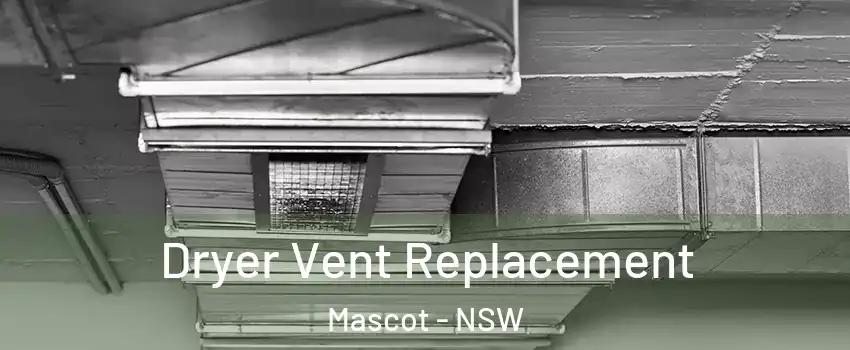 Dryer Vent Replacement Mascot - NSW