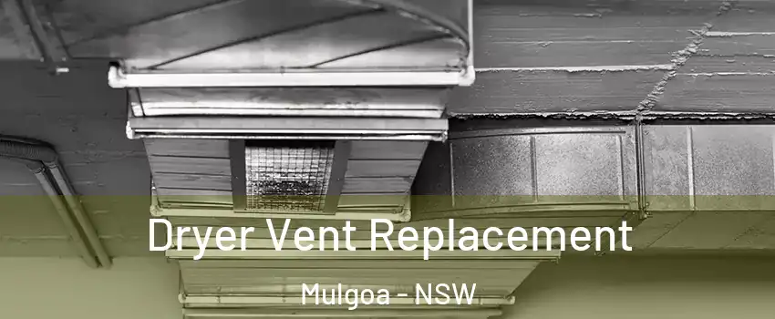 Dryer Vent Replacement Mulgoa - NSW