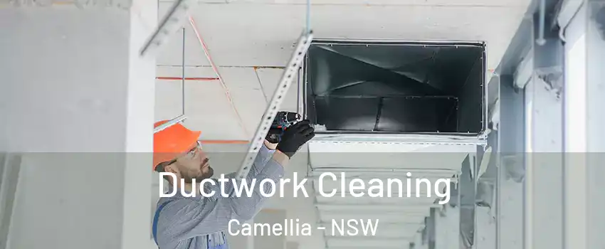 Ductwork Cleaning Camellia - NSW