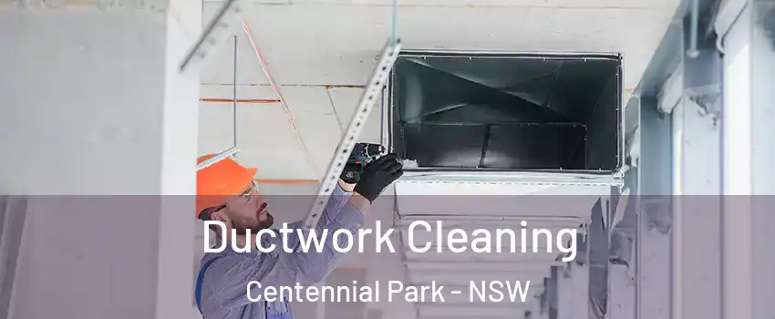 Ductwork Cleaning Centennial Park - NSW