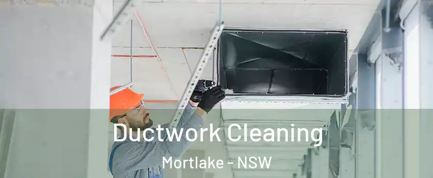 Ductwork Cleaning Mortlake - NSW