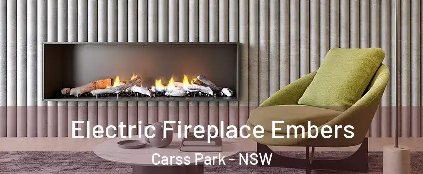 Electric Fireplace Embers Carss Park - NSW