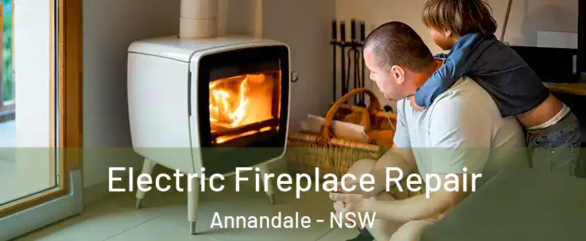  Electric Fireplace Repair Annandale - NSW