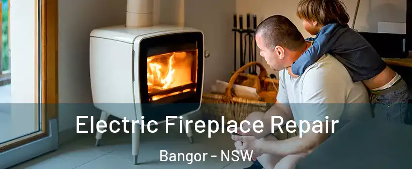  Electric Fireplace Repair Bangor - NSW